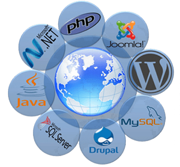 Web Development